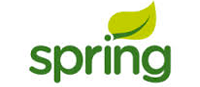 Logo Spring